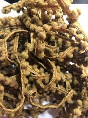 HONEY WHISKEY MINI POM POM TRIM - 1 Yard