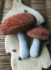MUSHROOM PINKEEP PATTERN
