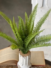 KIMBERLY STAND UP FERN BUSH