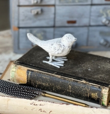 IRON BIRD - SMALL