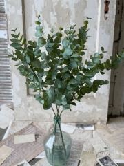 NOVA EUCALYPTUS SPRAY