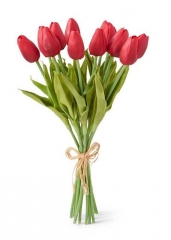 RED TULIP BUNDLE