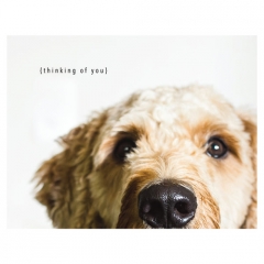 THOUGHTFUL DOG GREETING CARD