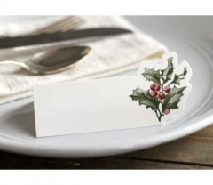 "HOLLY" PLACE CARDS - SALE