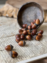 OAKWOOD ACORNS (Bag of 24)