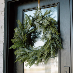 NORFOLK ISLAND CEDAR WREATH,  30"