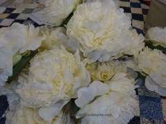 FLOATING PEONIES
