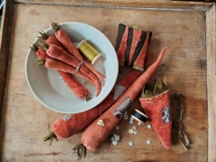 CARROT PATCH KIT