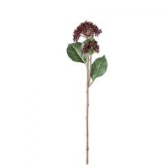 BURGUNDY HYDRANGEA BUDS STEM -SALE