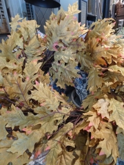OAK LEAF WREATH -SALE