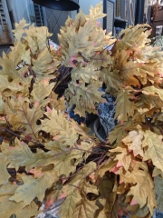 OAK LEAF WREATH