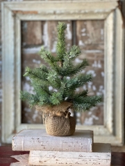 ICY ROCKY MOUNTAIN PINE TREE 12"