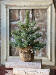 ICY ROCKY MOUNTAIN PINE TREE 12" -SALE