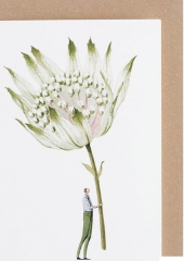 ASTRANTIA GREETING CARD