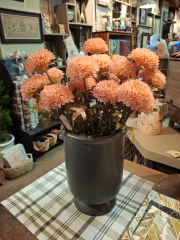 LIGHT PINK DAHLIAS