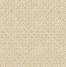 HARMONY Fabric | Half Yard | Y4590-60 Dark Butter