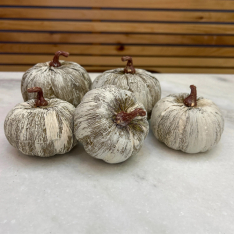 TIMBERLAND PUMPKINS (5 Pieces)