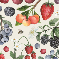 WILD BERRY PAPER COCKTAIL NAPKINS
